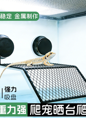 爬宠晒背台乌龟缸晒台爬坡爬台休息台水龟浮岛爬梯晒龟台固定大型