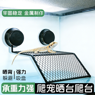 爬宠晒背台乌龟缸晒台爬坡爬台休息台水龟浮岛爬梯晒龟台固定大型