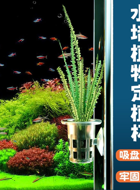 鱼缸水培植物定植篮固根器