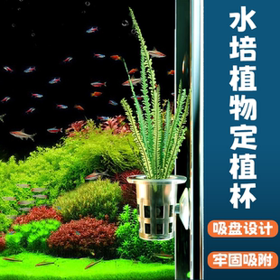 鱼缸定植蓝水草固根器水培器皿壁挂鱼缸造景装饰水草种植固定支架