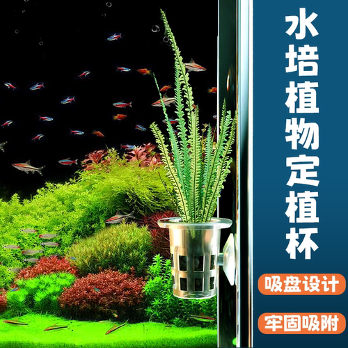 鱼缸水培植物定植篮固根器