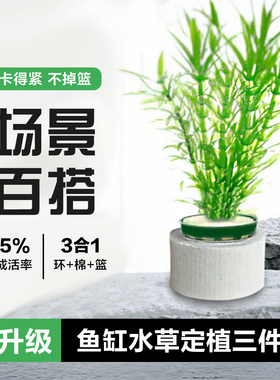 新款水草定植三件套陶瓷环固定杯下沉杯定植蓝定植环定植棉不掉篮