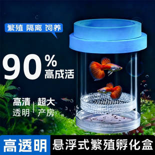 悬浮式繁殖隔离盒小鱼幼鱼母鱼产房孔雀鱼漂浮式孵化器