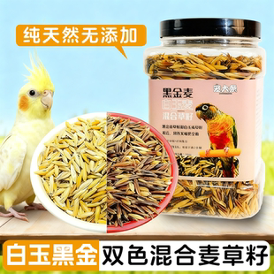 双色麦草籽鹦鹉白玉麦黑金麦玄凤虎皮牡丹鹦鹉专用鸟粮训练奖励粮
