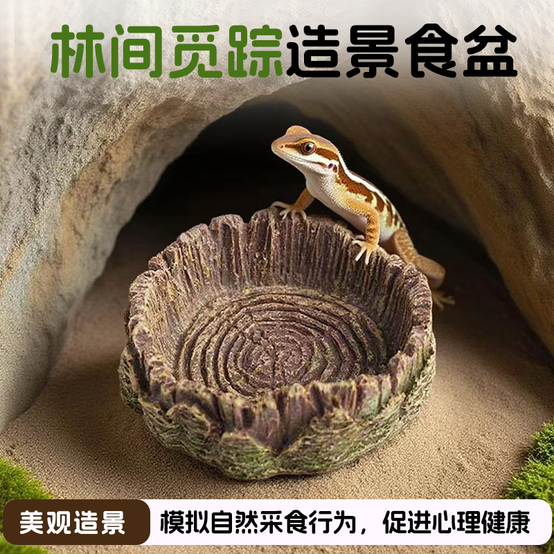 爬宠食盆防木质泡澡盆爬虫陆龟蜥蜴角蛙蛇守宫水盆宠物饮水盘造景