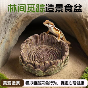 爬宠食盆防木质泡澡盆爬虫陆龟蜥蜴角蛙蛇守宫水盆宠物饮水盘造景