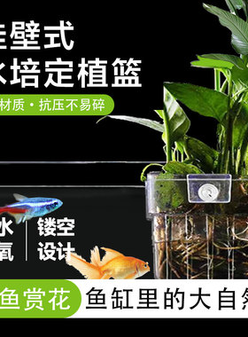 鱼缸挂壁式水培定植篮鱼缸造景装饰水草植物种植固定支架水草杯