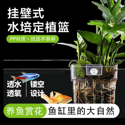 鱼缸壁挂式水培定植篮鱼缸造景