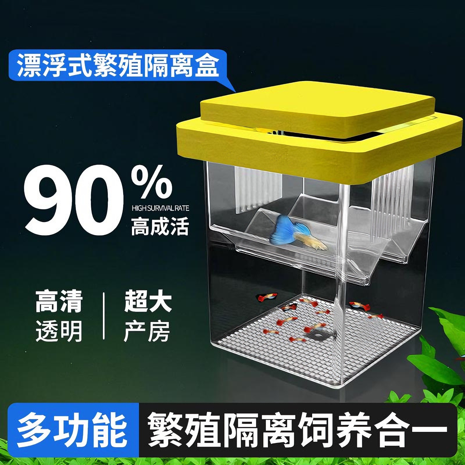 鱼缸繁殖孵化盒孔雀鱼繁殖隔离盒
