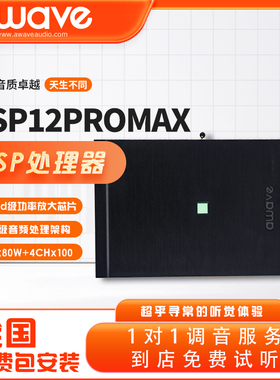 汽车音响改装awave爱威DSP12PROMAX车载音频处理器全国无损安装