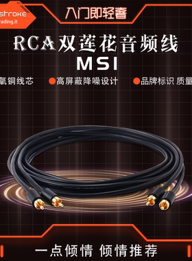 RCA双莲花音频线HiFi汽车音响线意大利GT旗下品牌master stroke