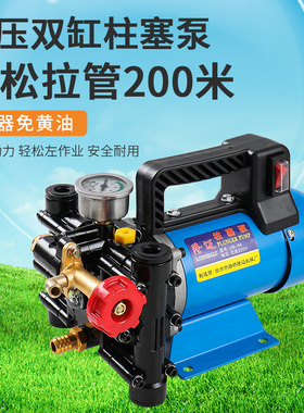 手提式打药机农用电动果树喷雾器12V48V60V220伏高压双缸柱塞药泵