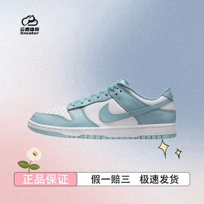 NIKE耐克冬季男子DUNK经典百搭板鞋复古运动休闲鞋DV0833-106