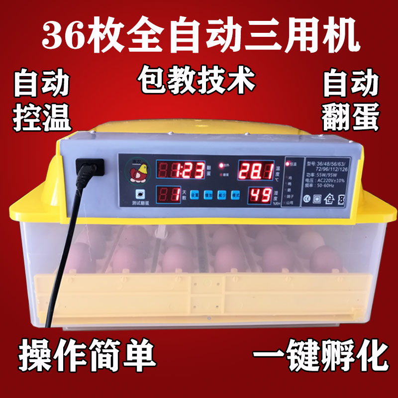 迷你型浮化器小鸡孵化箱多功能