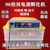 抱小鸡 机器家用小鸡呼化器孵化小鸡气孵化机全自动多功能炕小鸡