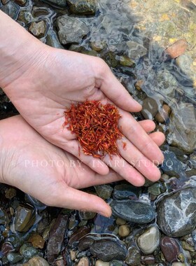 稻荷Inari 红花 红色系天然植物染料 草木染材 手工扎染印染DIY