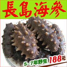 长岛野生淡干海参 5-7年参龄 刺参干货非即食海参辽参 特价包邮