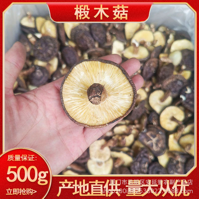 现发散装整件批发福建椴木菇食用菌菇500g香菇干土特产产地直香菇