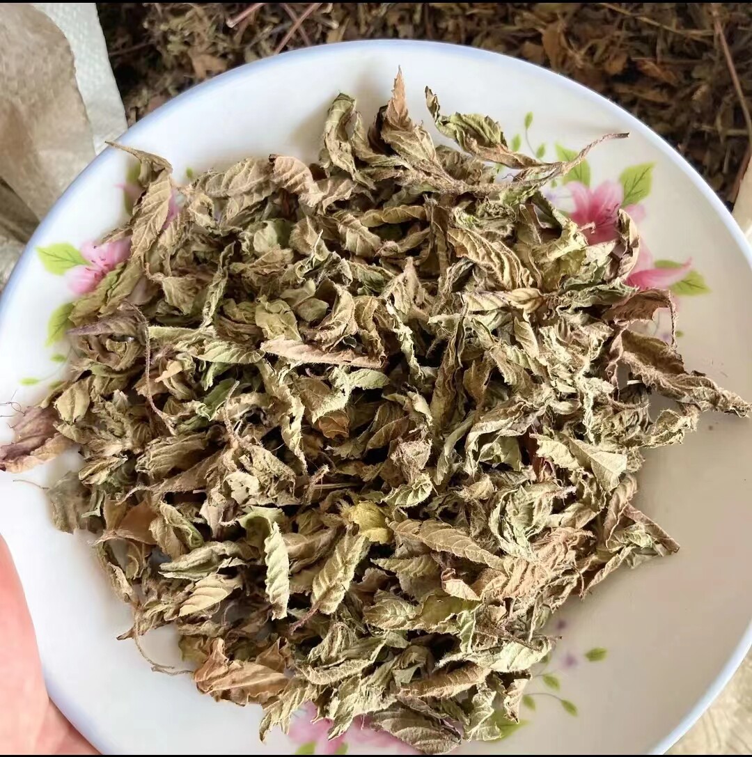 仙草干黑凉粉冻草粿正宗仙人粄草龟苓膏新鲜烧家发批商用草干1斤