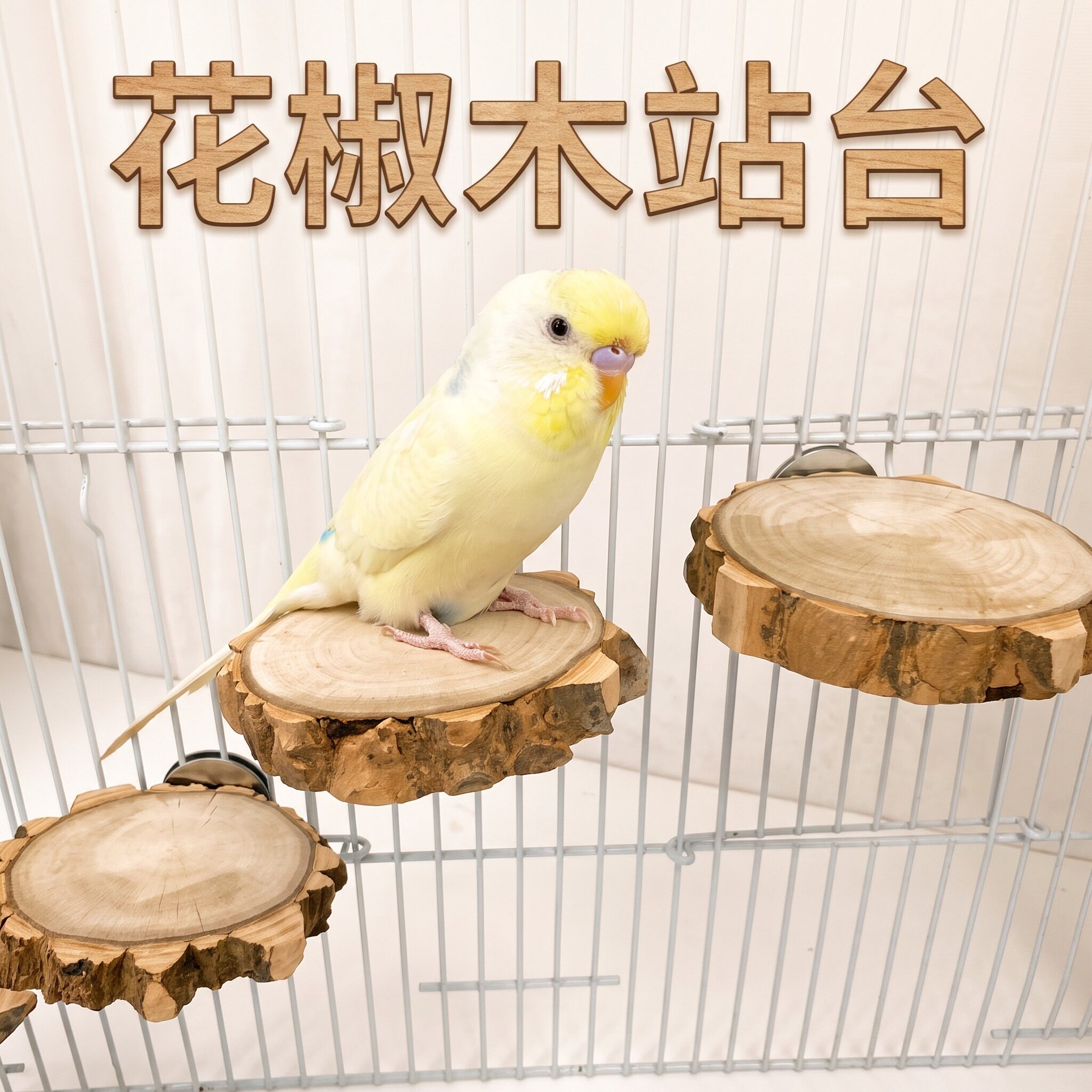 鹦鹉站台花椒木天然悬挂站台跳台