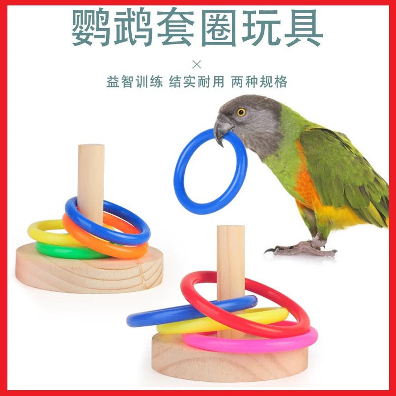 鹦鹉玩具套圈玩具益智玩具虎皮牡丹益智互动训练小鸟类木套圈,宠物/宠物食品及用品,鸟玩具,淘宝优惠券,粉丝福利购,淘宝优惠卷