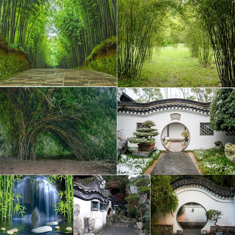 中式直播背景布立体主播墙纸布3D山水大草原主播竹林室外风景荷花