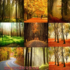 韩式婚纱摄影背景布影楼婚纱主题拍照背景布自然风景绿树草地2016