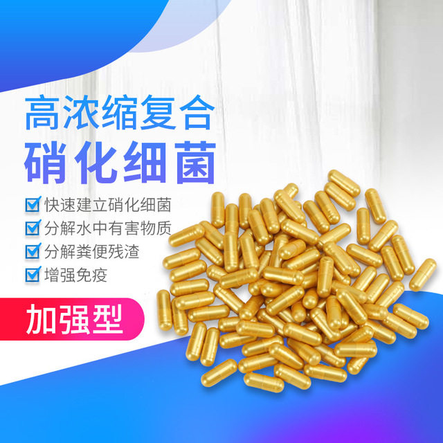 水质分解粪便干粉胶囊浓缩培菌