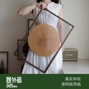 饰画挂北欧客厅胡桃木ins文艺自然礼物透明画植物手作创意 年轮装