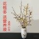 中国腊梅鲜花鲜切花干花鲜切插花枝条水培蜡梅带花苞干枝梅花真花