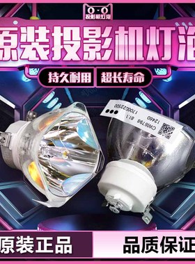 NEC NP405+/NP405G/ NP410+/NP410W/NP430C/NP430W/NP500+/NP500C/NP500W+/NP500WS/NP510+投影机仪灯泡
