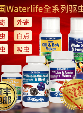 英国进口Waterlife大白片龙鱼魟鱼罗汉内寄外寄鳃虫白点头洞凸眼