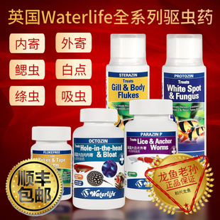英国进口Waterlife大白片龙鱼魟鱼罗汉内寄外寄鳃虫白点头洞凸眼