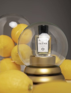 帕尔马之水克罗尼亚经典 不愧百年经典 柜1250元 古龙 包邮