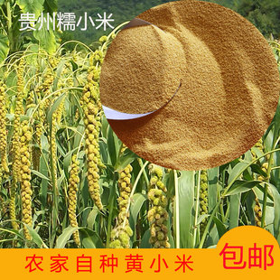 贵州农特产凯里黄平农家自种糯小米小米渣食用糯新米五谷杂粮 1斤