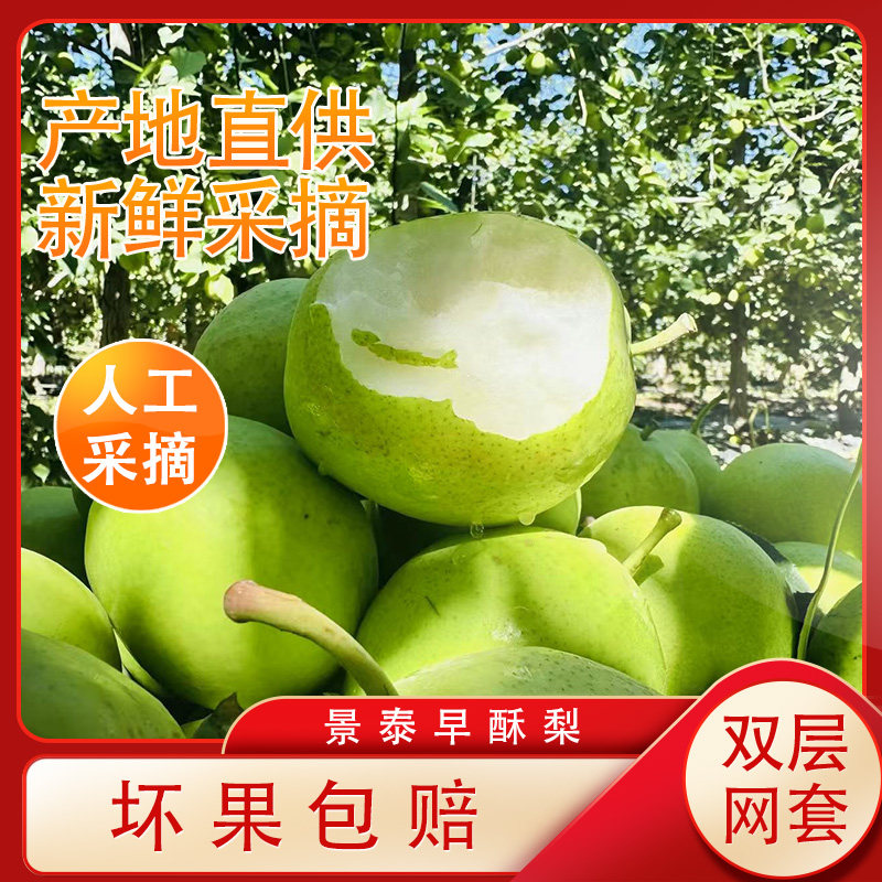 甘肃景泰早酥梨爽脆鲜甜多汁