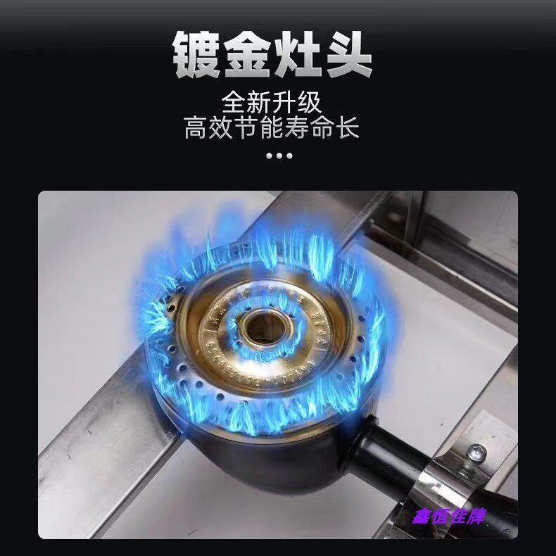 鑫恒佳油炸锅炉头猛火蓝火