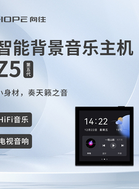 HOPE向往Z5智能语音系统背景音乐主机播放器天花板吸吊顶喇叭套装
