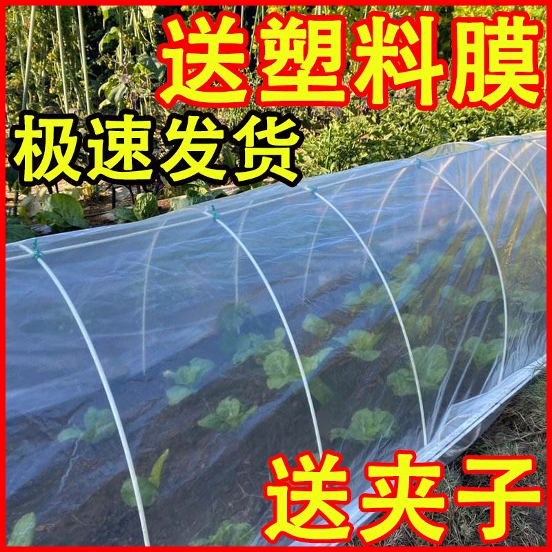 玻璃纤维杆小拱棚支架拱杆菜地小拱棚农用薄膜
