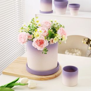 渐变紫色花盆陶盆蝴蝶兰高级感轻奢家用陶瓷花盆虎皮兰花盆带托盘