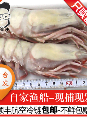 虎虾鲜活超大海捕新鲜竹节虾野生斑节虾特大对虾老虎虾青岛大虾