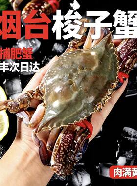 梭子蟹活发飞蟹海蟹可清蒸螃蟹