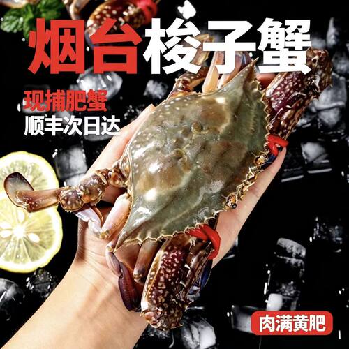 梭子蟹活发飞蟹海蟹可清蒸螃蟹