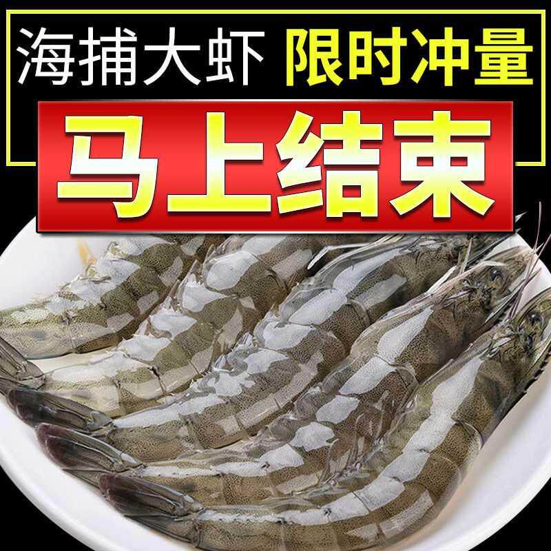 海明虾青岛烟台鲜活超大虾基围虾特大鲜活新鲜海虾青大虾明虾2斤
