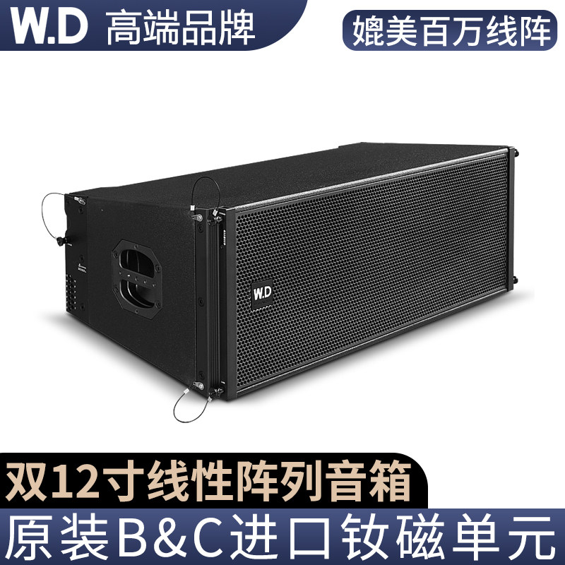 W.D卧龍太極双12寸线阵音响户外防水原装意大利进口BNC钕磁喇叭