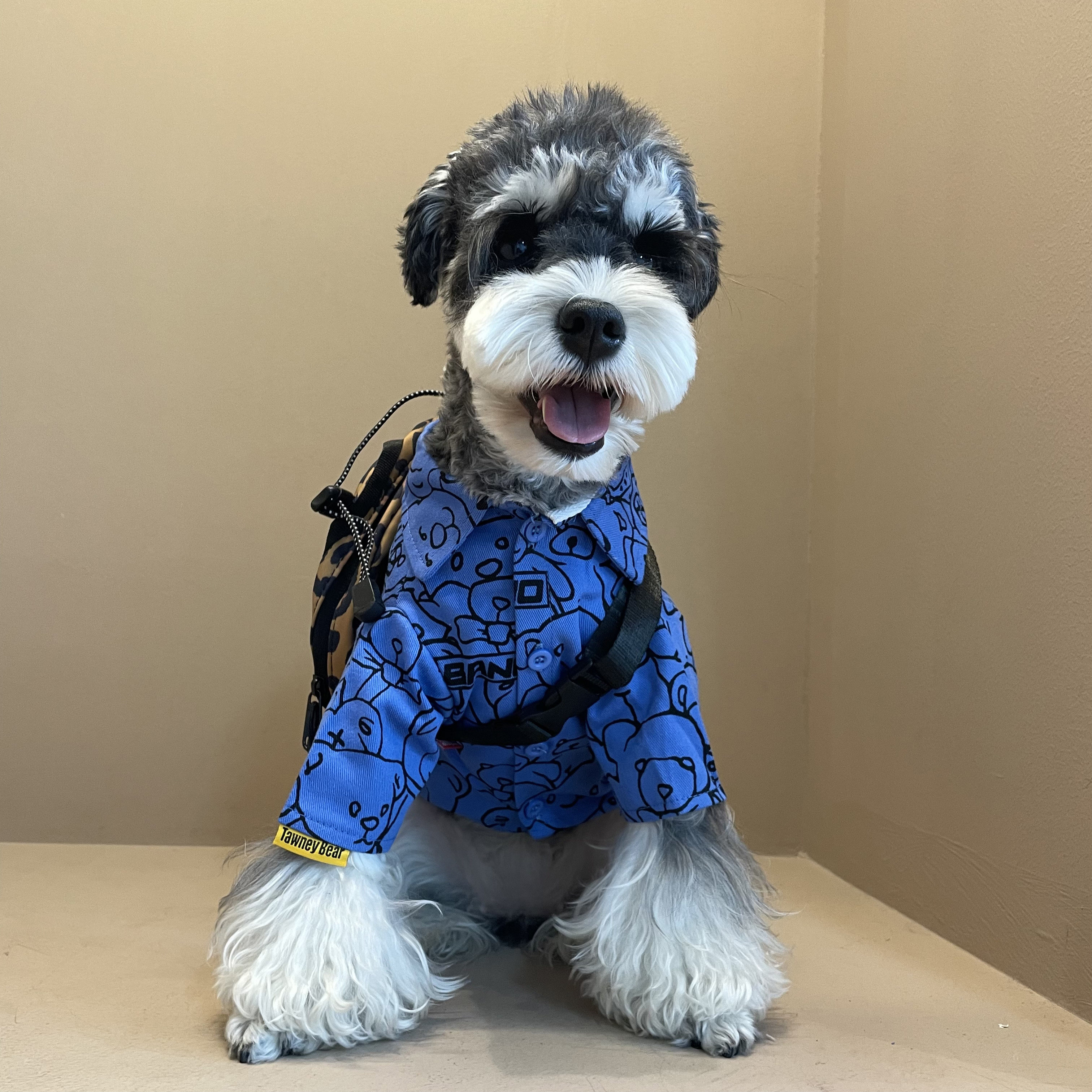 fzl/秋季首发狗狗衬衫雪纳瑞法斗泰迪柯基柴犬猫咪宠物衣服