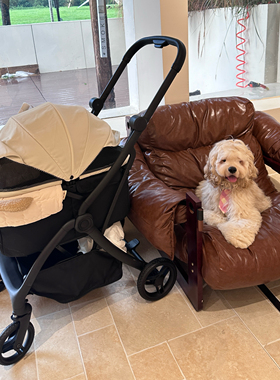 AHDDGO宠物狗狗猫咪外出推车一体收车方便防水轻便