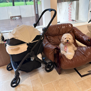 AHDDGO宠物狗狗猫咪外出推车一体收车方便防水轻便
