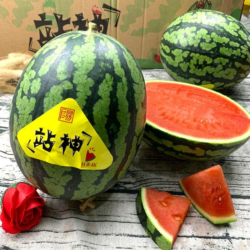 甘美战神西瓜麒麟瓜无籽海南甜西瓜新鲜水果西瓜应季南方顺丰包邮