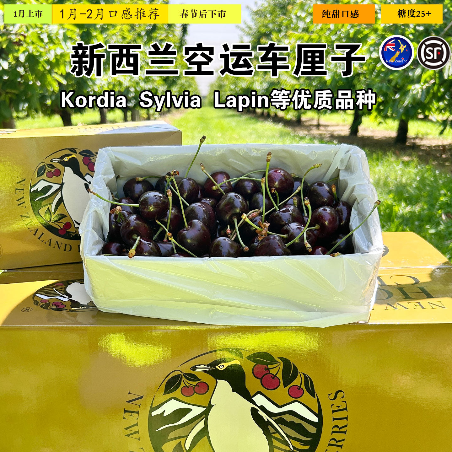 新西兰进口黄眼企鹅车厘子礼盒装1kg金企鹅黑车HOIHO高端水果空运,水产肉类/新鲜蔬果/熟食,车厘子/樱桃,淘宝优惠券,粉丝福利购,淘宝优惠卷